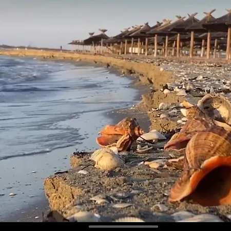 Musura Bay Lejlighed