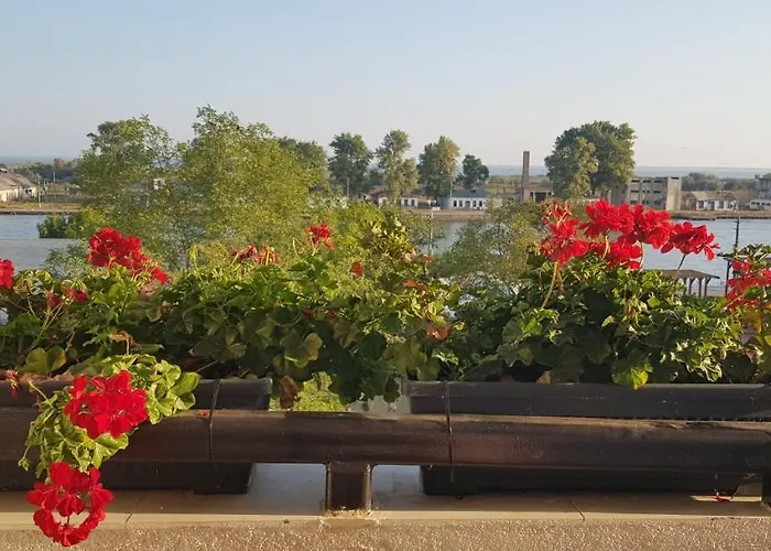 Musura Bay Apartman Sulina